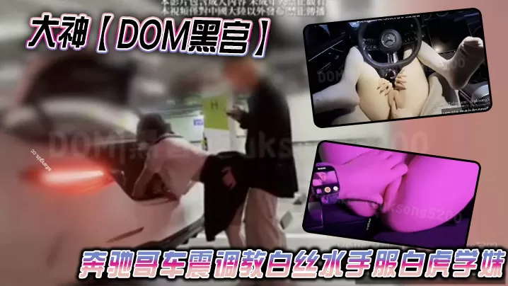 大神【DOM黑宫】奔驰哥车震调教白丝水手服白虎学妹,地下车库露出啪啪性爱